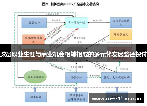 球员职业生涯与商业机会相辅相成的多元化发展路径探讨