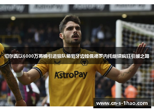 切尔西以6000万英镑引进狼队葡萄牙边锋佩德罗内托继续疯狂引援之路 切尔西以6000万英镑引进狼队葡萄牙边锋佩德罗内托继续疯狂引援之路