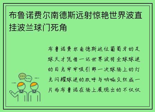 布鲁诺费尔南德斯远射惊艳世界波直挂波兰球门死角 布鲁诺费尔南德斯远射惊艳世界波直挂波兰球门死角