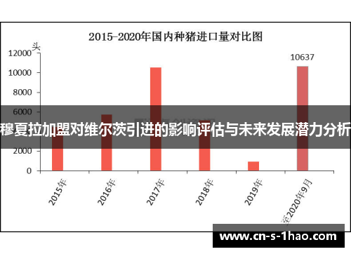 穆夏拉加盟对维尔茨引进的影响评估与未来发展潜力分析