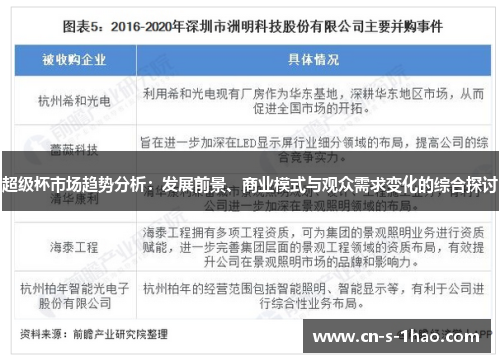 超级杯市场趋势分析：发展前景、商业模式与观众需求变化的综合探讨
